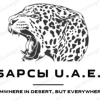 Барсы